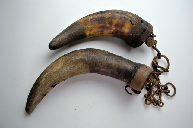 Early American Axel Grease Buffalo Horns. Circa 1830.
