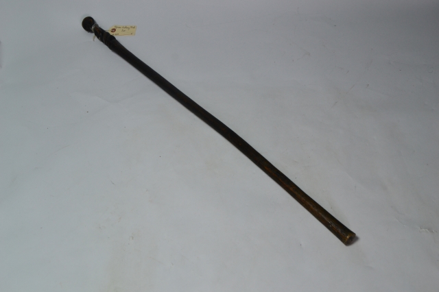 African Walking Stick