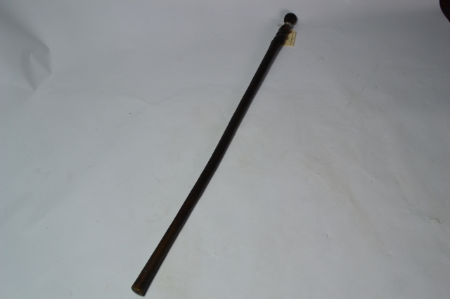African Walking Stick