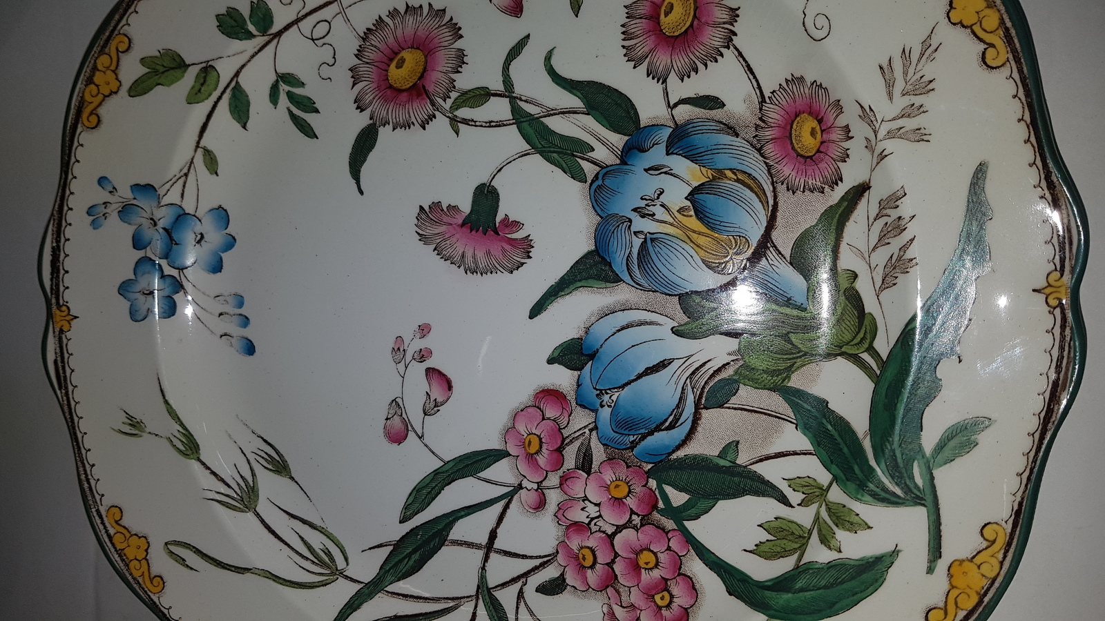 FInest Wedgwood Plate Circa. 1901