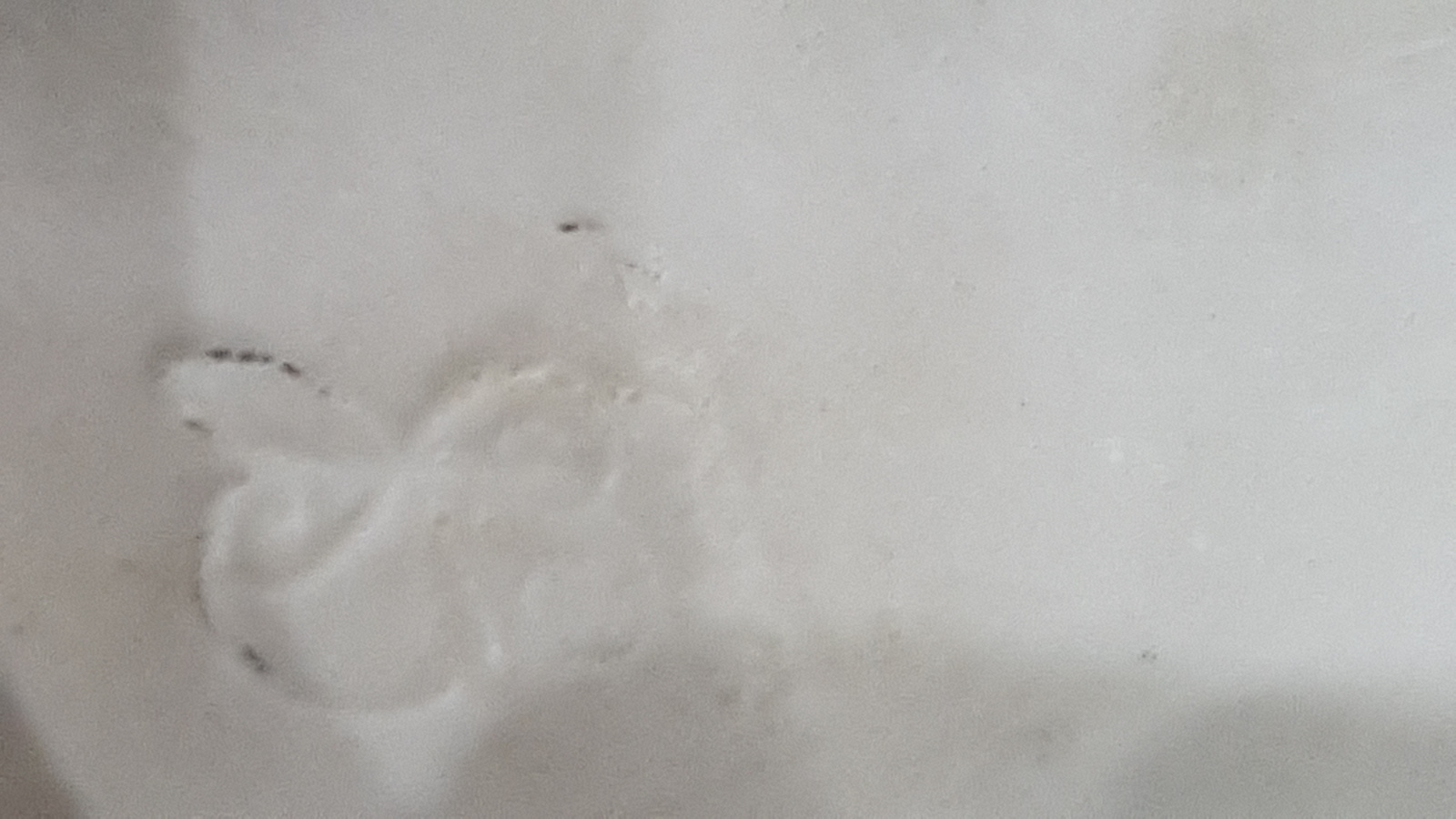 19th C. Yardley Old English Lavender Advertising Porcelain Group by Dresden